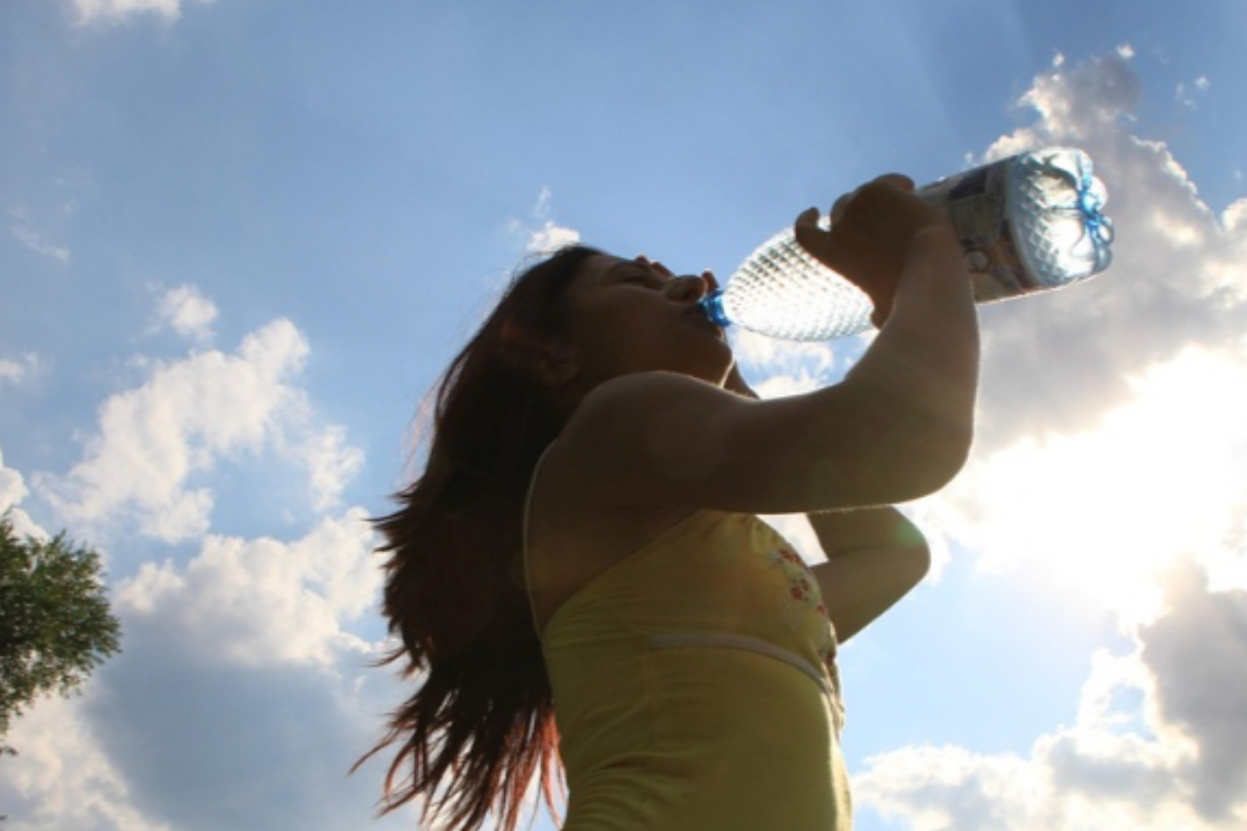 Optimalisasi Tubuh: Jadwal Minum Air Putih yang Baik