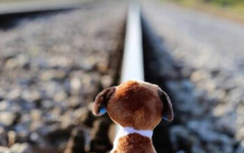 Rahasia Menjadi Lebih Baik: Langkah Kecil Menuju Perubahan Besar