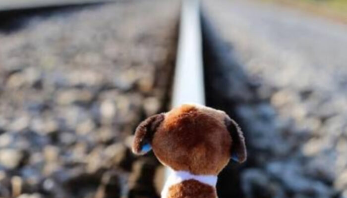 Rahasia Menjadi Lebih Baik: Langkah Kecil Menuju Perubahan Besar