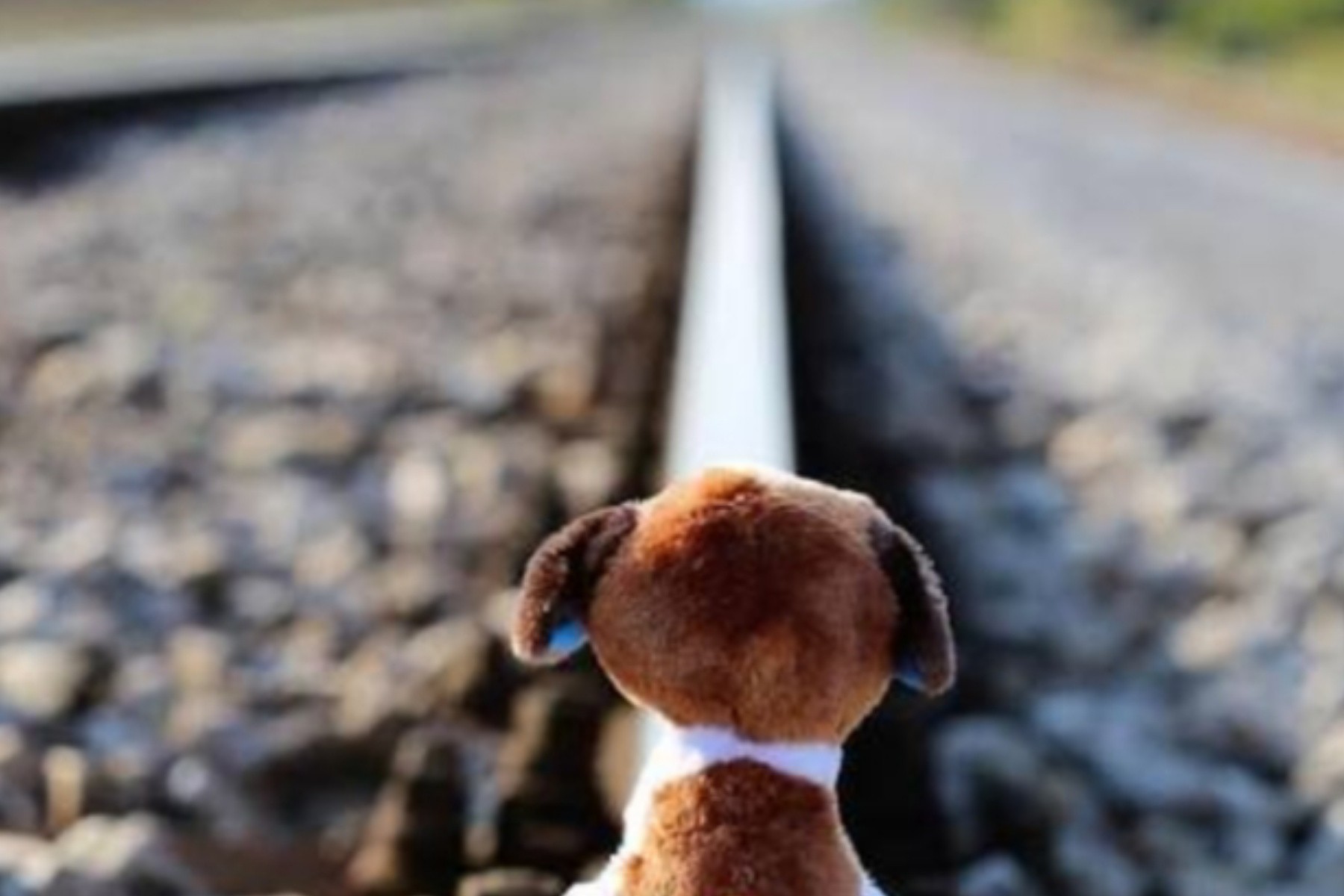 Rahasia Menjadi Lebih Baik: Langkah Kecil Menuju Perubahan Besar