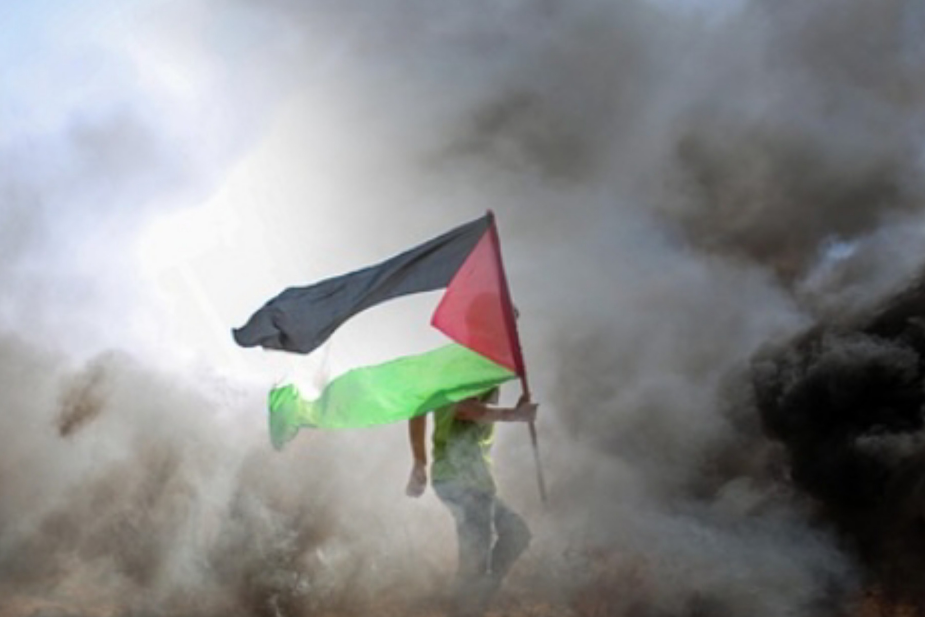 Sejarah Baru! Gaza Gelar Pemilu Pertama Sejak 2006 di Tengah Gencatan Senjata