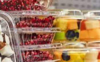 Syarat Kemasan Makanan yang Baik: Jangan Asal Pilih Wadah!