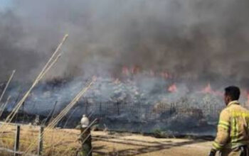 Tensi Tinggi! Israel-Hezbollah Terus Berbalas Serangan Udara 3 Tensi Tinggi! Israel-Hezbollah Terus Berbalas Serangan Udara