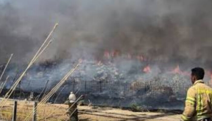 Tensi Tinggi! Israel-Hezbollah Terus Berbalas Serangan Udara