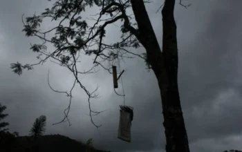 Tragis, Lansia di Cianjur Akhiri Hidup di Pohon Ketapang