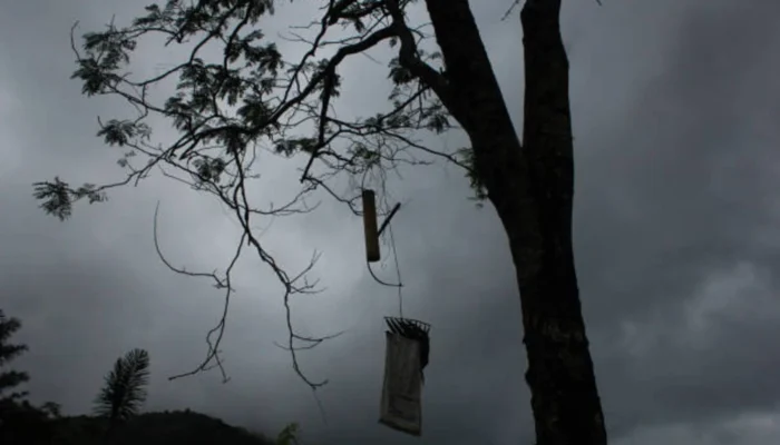 Tragis, Lansia di Cianjur Akhiri Hidup di Pohon Ketapang