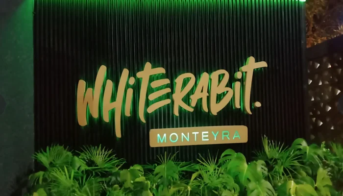 White Rabbit PIK Disapu Bersih Aparat, Kenapa?