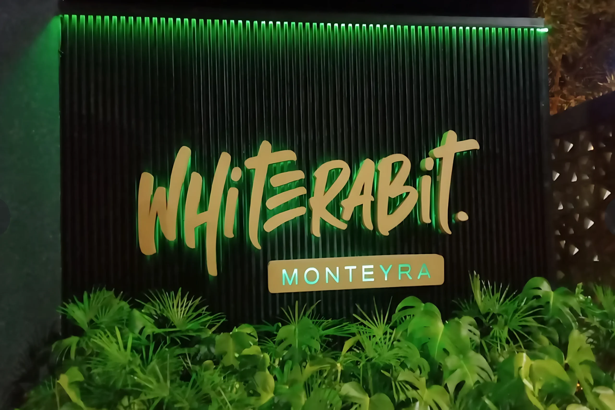White Rabbit PIK Disapu Bersih Aparat, Kenapa?