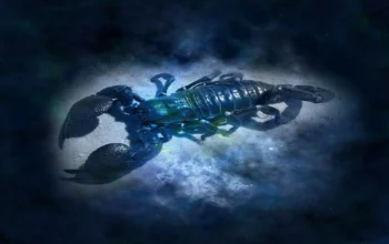 Bulan Purnama Scorpio Mengguncang! Ini Ramalan Zodiak 1 Mei 2026