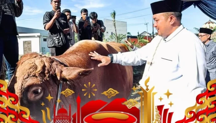 Bupati Bogor Serahkan Sapi Kurban 1,2 Ton Bantuan Presiden Prabowo Subianto di Masjid Nurul Wathon