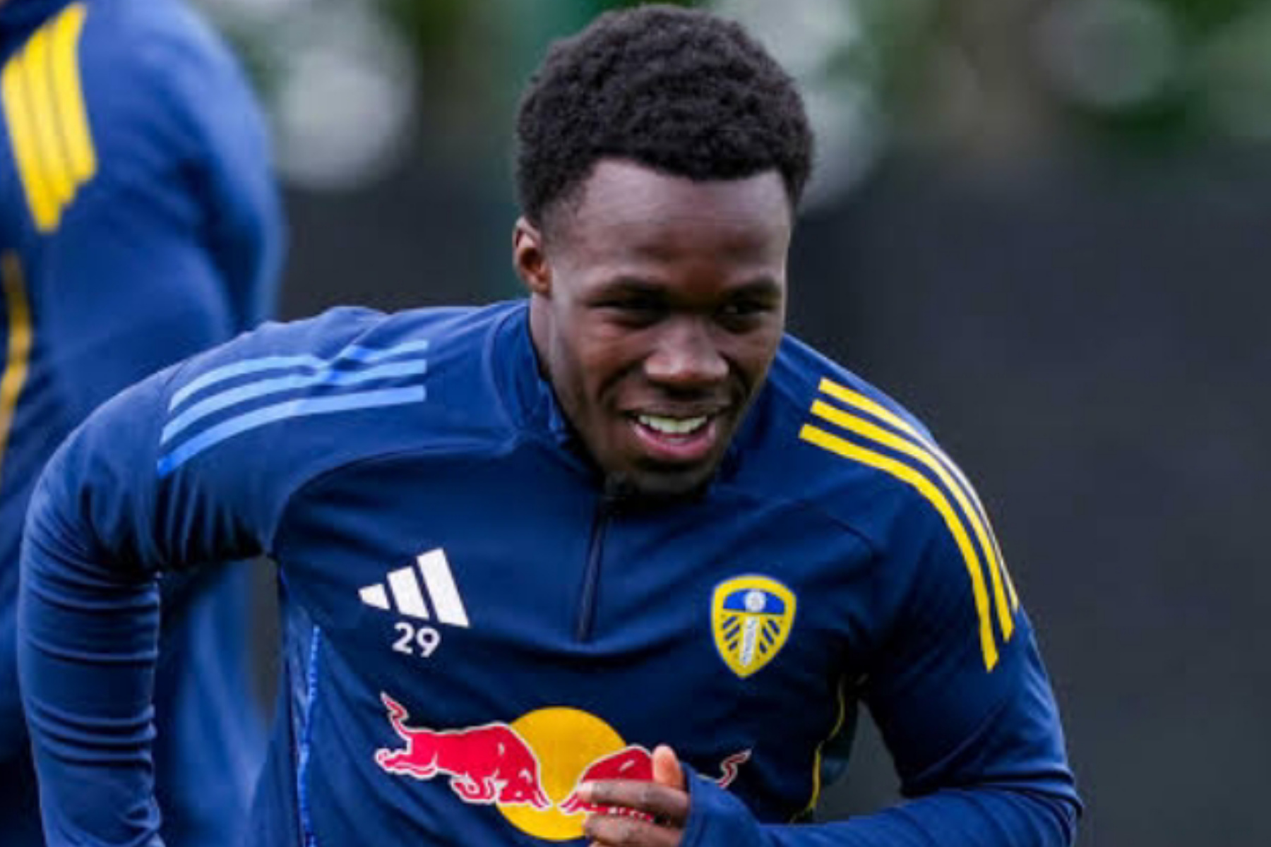 Bursa Transfer Memanas! Willy Gnonto Siap Tinggalkan Leeds United Demi Klub Finalis Eropa?