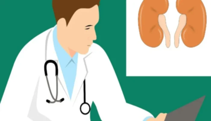 Diet Ginjal Sehat: Makanan yang Harus Dihindari saat Kreatinin Tinggi