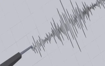 Gempa Bumi M 5,1 Guncang Timor Tengah Selatan NTT