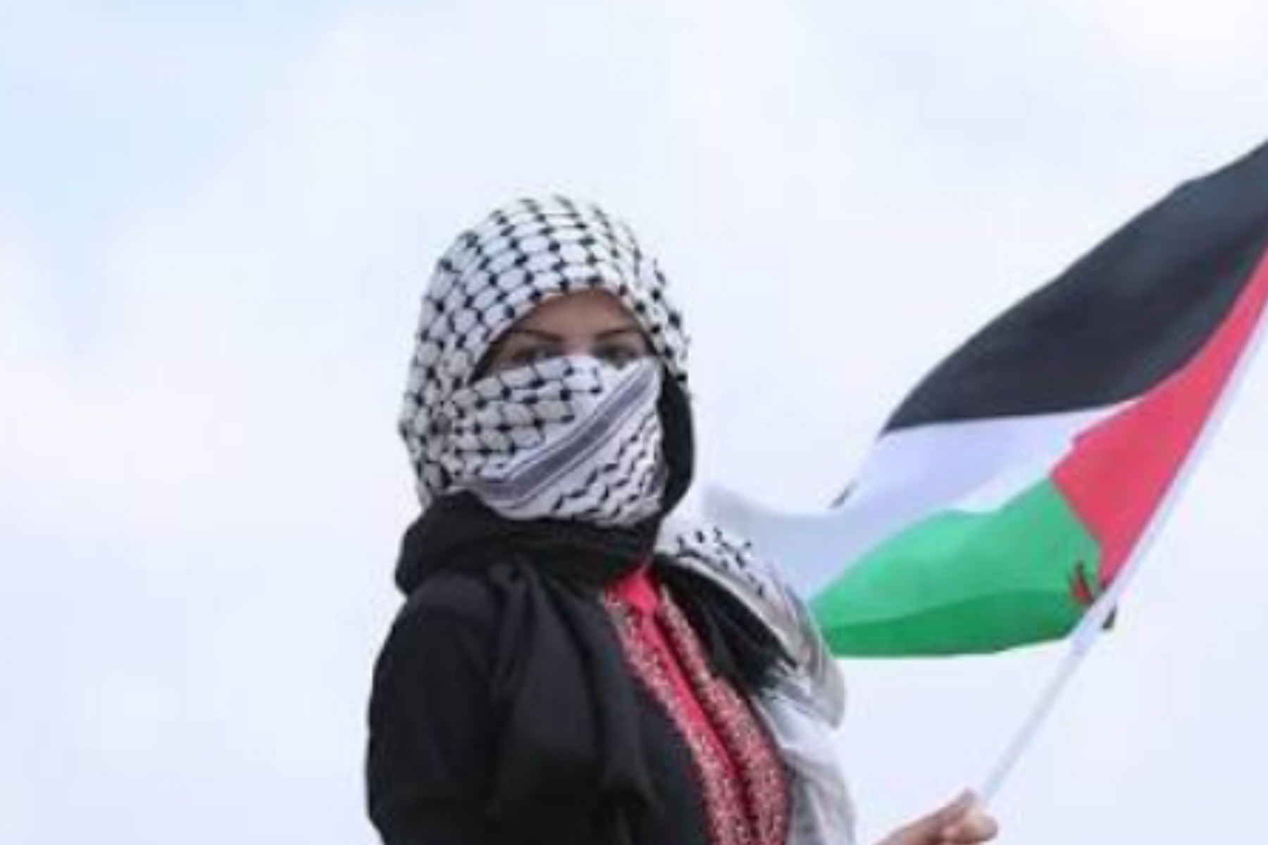 Hati-hati Penyalahgunaan Donasi Palestina