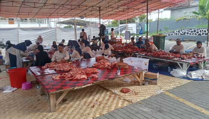 RSUD R Syamsudin SH Kota Sukabumi Tebar Keberkahan Iduladha, Distribusikan Ribuan Paket Daging Kurban untuk Karyawan hingga Pesantren