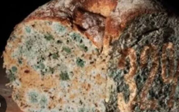 Jangan Langsung Dibuang! Pahami Batas Toleransi Makanan Kadaluarsa Biar Gak Rugi dan Keracunan 3 Jangan Langsung Dibuang! Pahami Batas Toleransi Makanan Kadaluarsa Biar Gak Rugi dan Keracunan