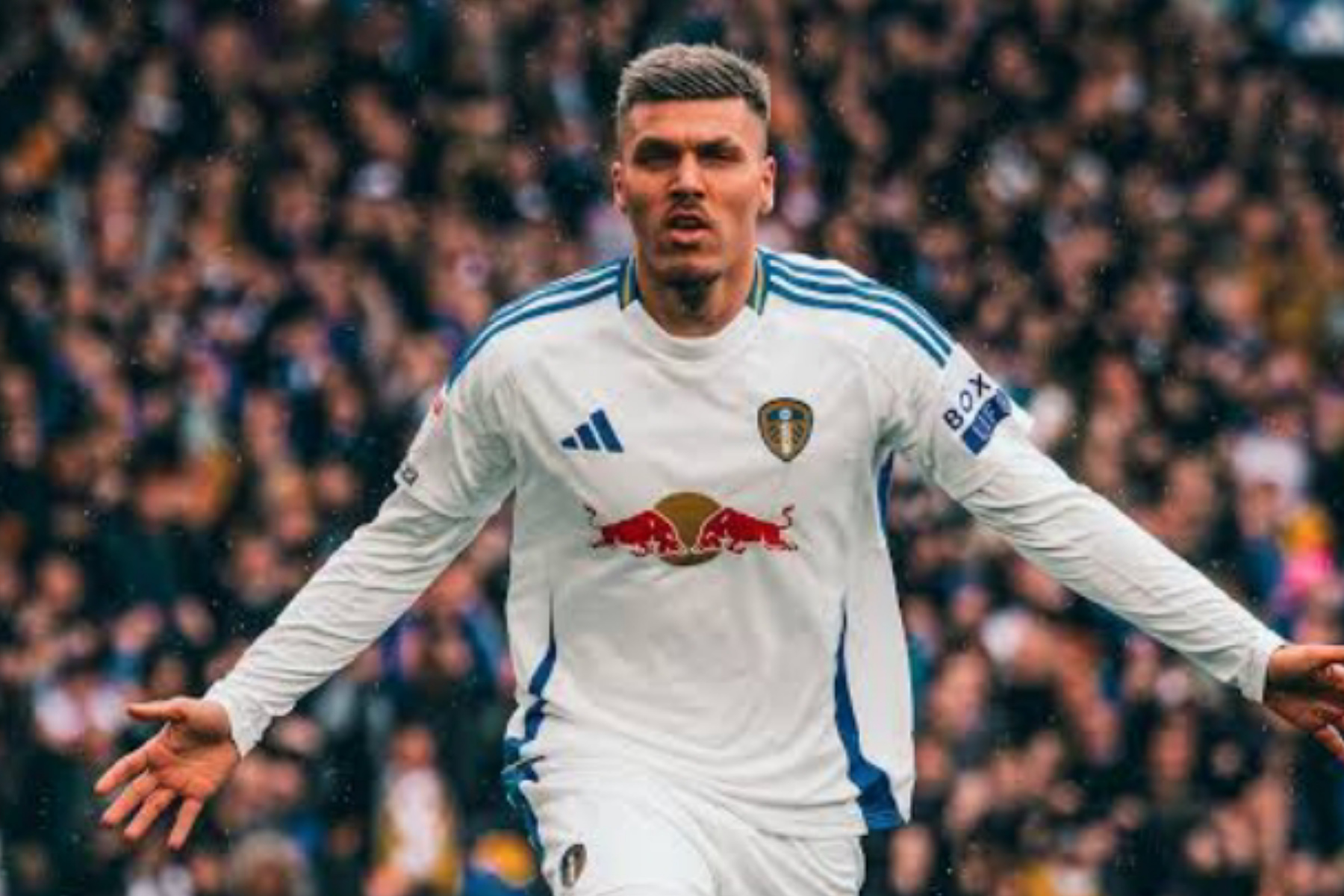 Leeds United Siap Berpisah dengan Joel Piroe 1 Leeds United Siap Berpisah dengan Joel Piroe