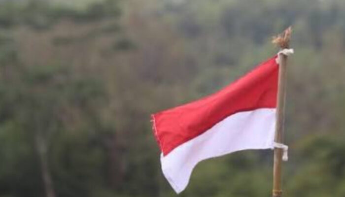 Makna Kemerdekaan: Lebih dari Sekadar Pengakuan Kedaulatan