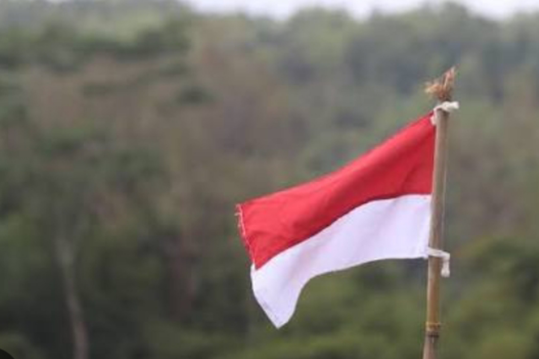 Makna Kemerdekaan: Lebih dari Sekadar Pengakuan Kedaulatan