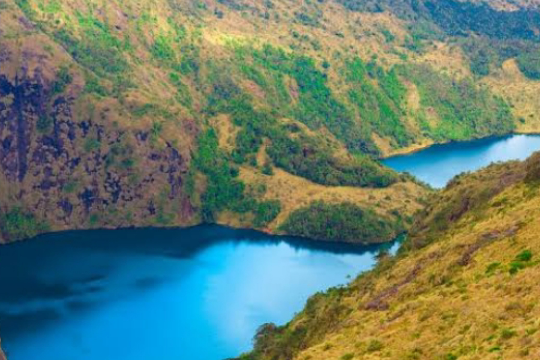 Menilik Kekayaan Tanah Papua: Emas Hitam dan Paradoks Kemakmuran Timur