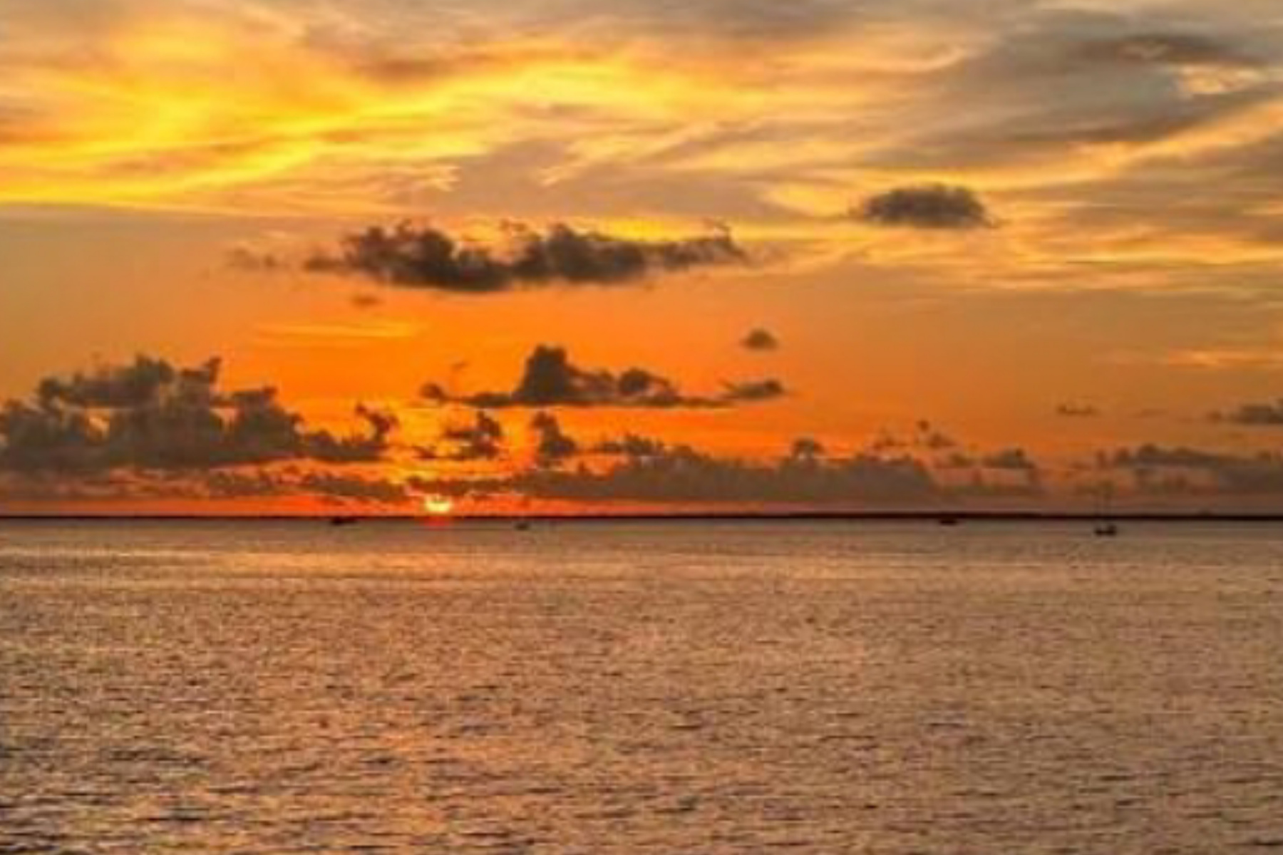 Menjaga Kedaulatan Wilayah Laut! Mengenal Urgensi Hukum Lautan Internasional bagi Indonesia