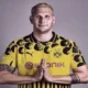 Niklas Süle Putuskan Pensiun