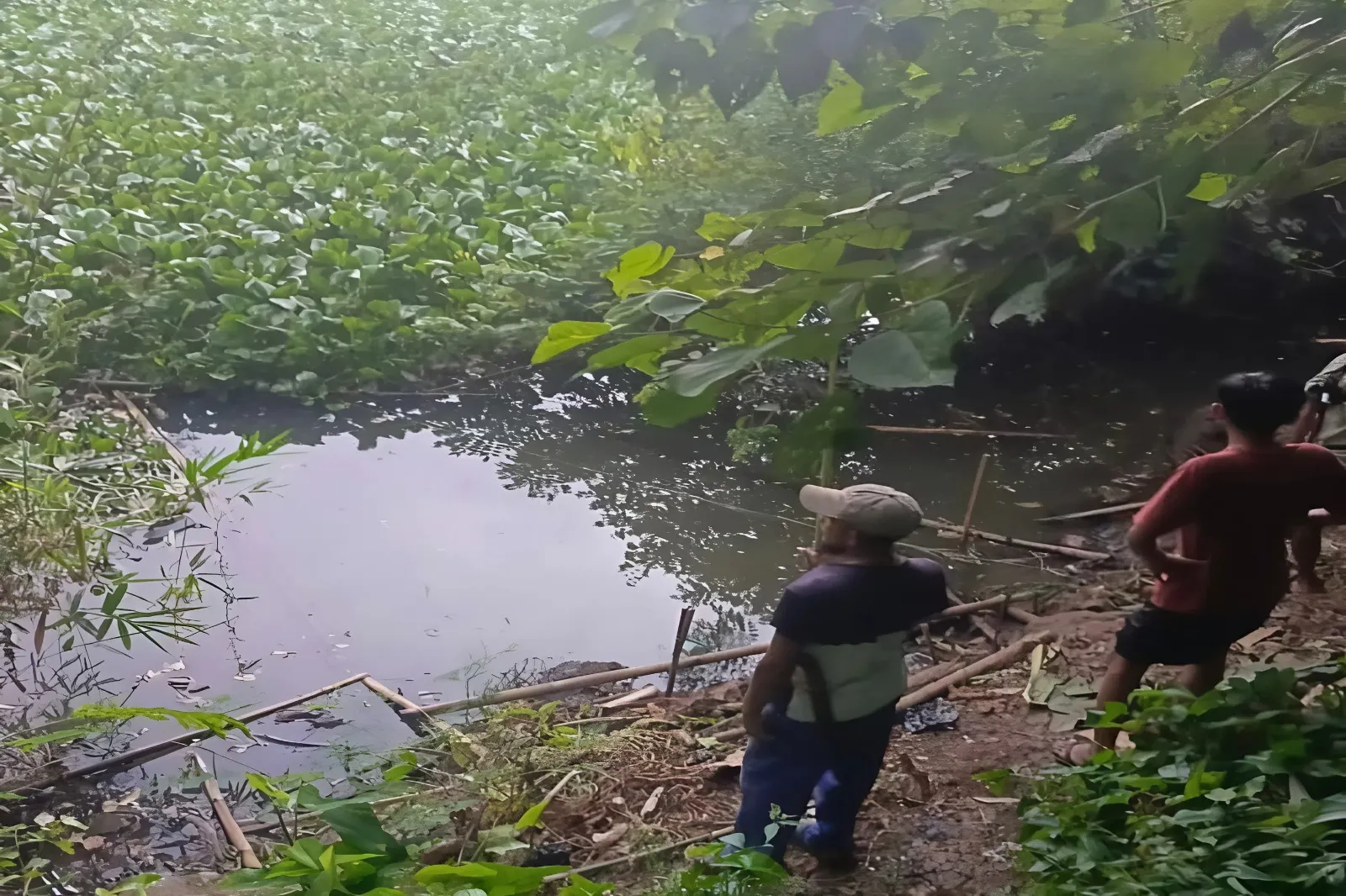 Pemancing di Cianjur Ditemukan Tewas di Sungai Citarum 1 Pemancing di Cianjur Ditemukan Tewas di Sungai Citarum