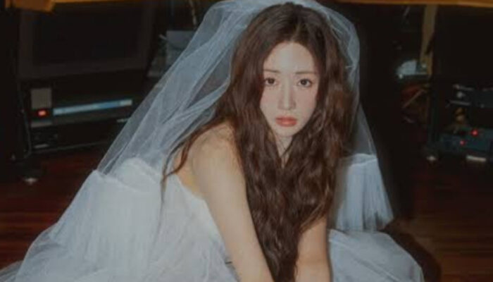 Sah! Yoon Bomi Apink Resmi Menikah Hari Ini Setelah Pamit dari Acara TV