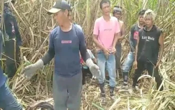 Sebanyak 33 Warga Purwakarta Minta Dipulangkan dari Perkebunan Tebu di OKI