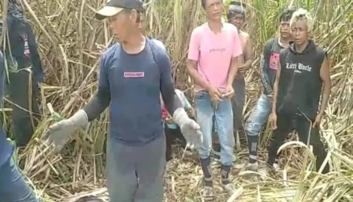 Sebanyak 33 Warga Purwakarta Minta Dipulangkan dari Perkebunan Tebu di OKI
