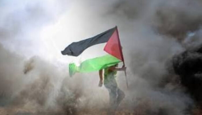 Solidaritas dan Bantuan Kemanusiaan ke Gaza
