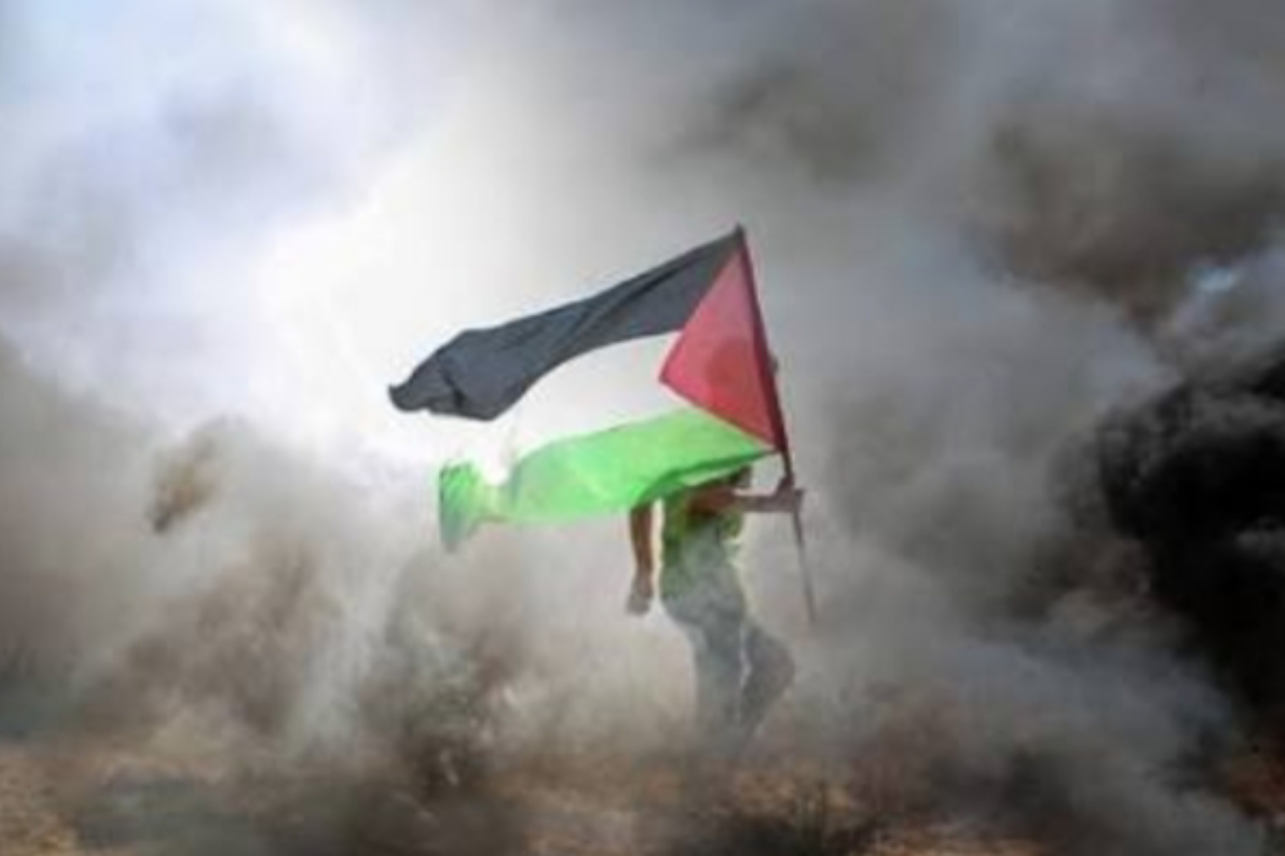 Solidaritas dan Bantuan Kemanusiaan ke Gaza