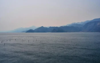 Teluk Oman Memanas, Distribusi Minyak Dunia Terancam 3 Teluk Oman Memanas, Distribusi Minyak Dunia Terancam