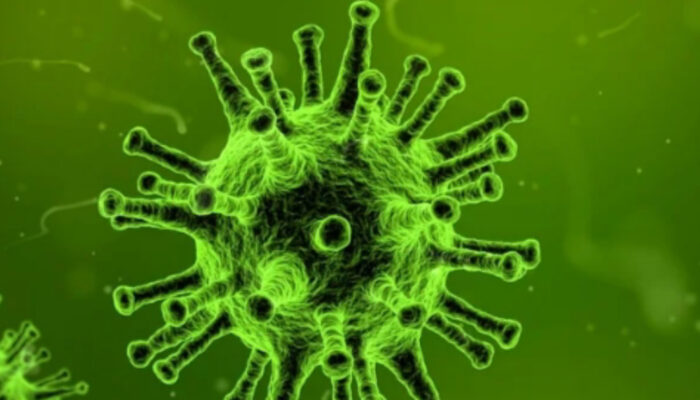 WHO Lacak Kontak Erat Pasca Wabah Hantavirus di Kapal Pesiar