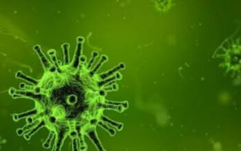 Warga Terancam, Wabah Ebola di Kongo Kian Mengkhawatirkan