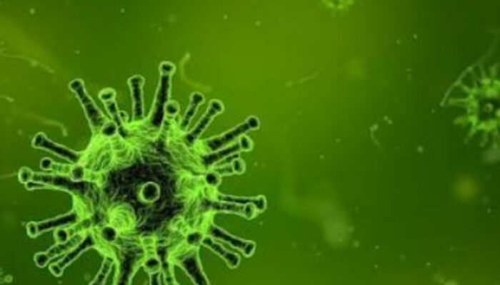 Warga Terancam, Wabah Ebola di Kongo Kian Mengkhawatirkan