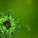 Warga Terancam, Wabah Ebola di Kongo Kian Mengkhawatirkan