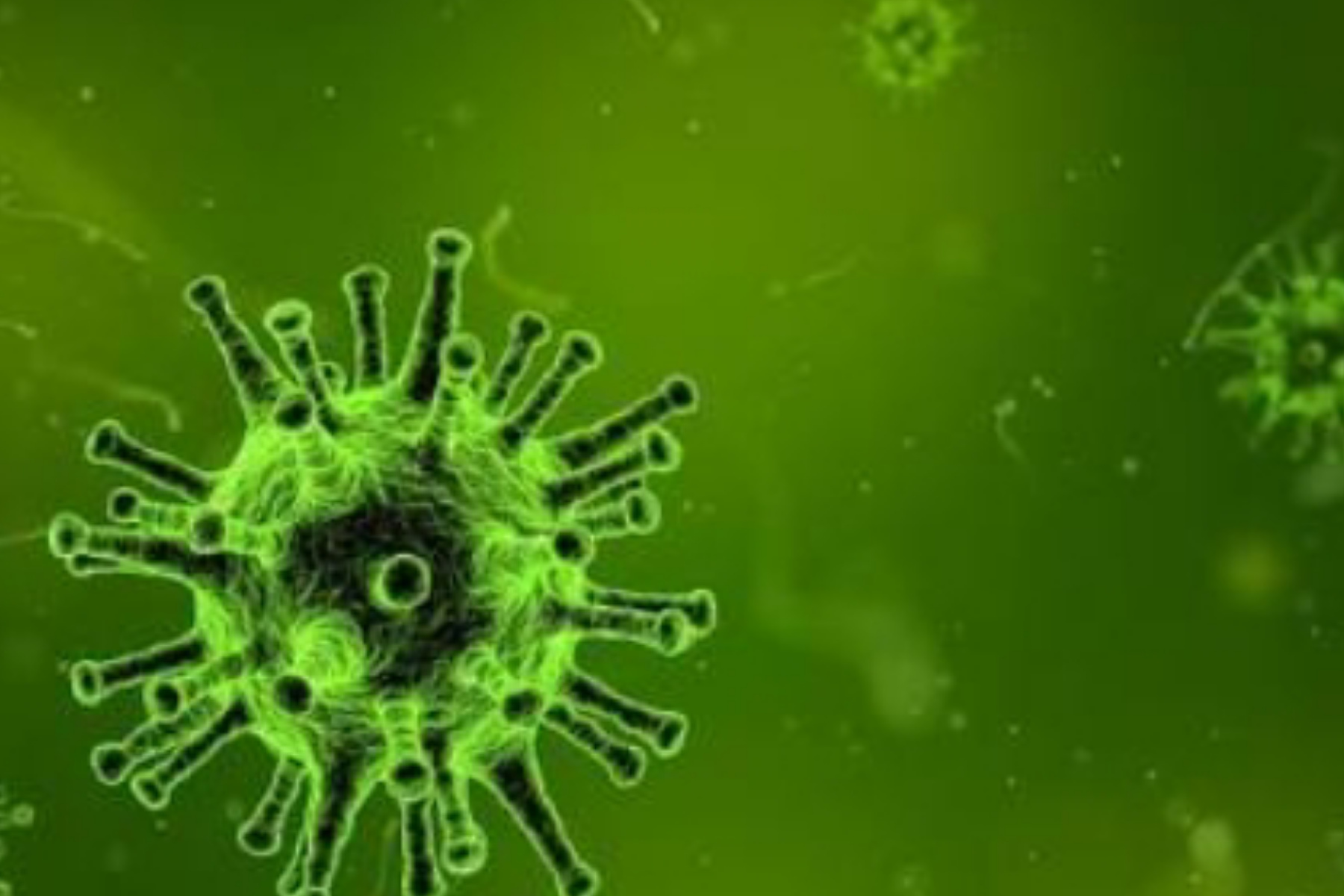 Warga Terancam, Wabah Ebola di Kongo Kian Mengkhawatirkan