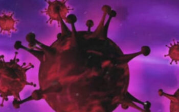 Waspada Gejala Virus Hanta! Belajar dari Kasus Kapal Pesiar Hondius