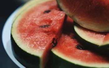 9 Manfaat Semangka untuk Kesehatan yang Jarang Diketahui 1 9 Manfaat Semangka untuk Kesehatan yang Jarang Diketahui