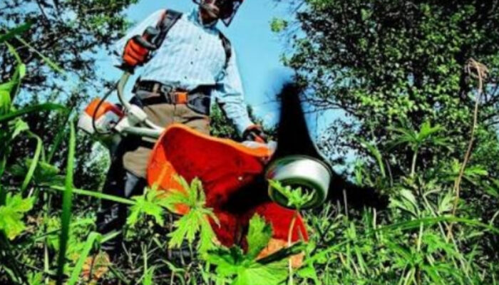 Berkebun: Terapi Stres Alami yang Jarang Disadari