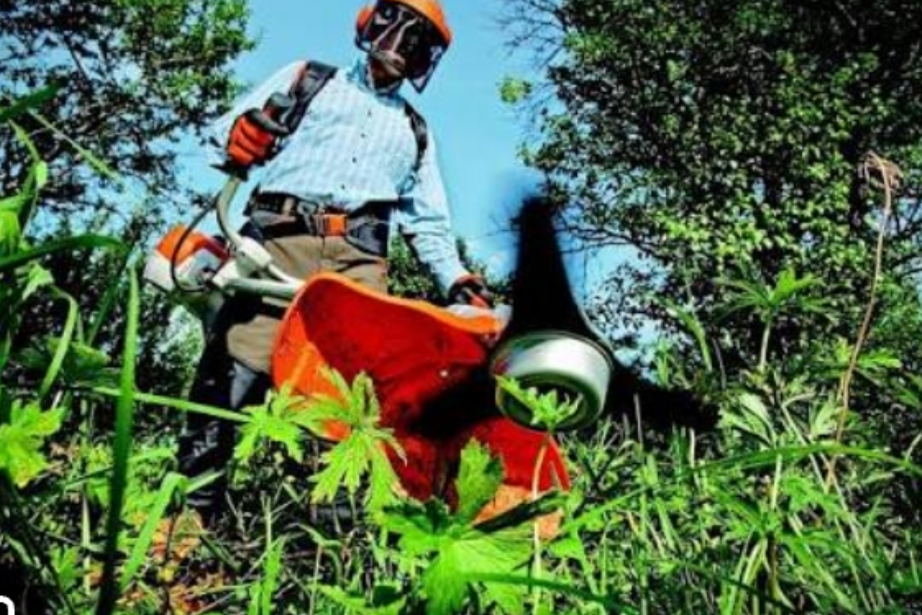 Berkebun: Terapi Stres Alami yang Jarang Disadari 1 Berkebun: Terapi Stres Alami yang Jarang Disadari