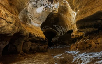 Menyingkap Misteri Dunia Purba di Balik Goa Cigintung Gunungsungging Kabupaten Sukabumi 9 Menyingkap Misteri Dunia Purba di Balik Goa Cigintung Gunungsungging Kabupaten Sukabumi