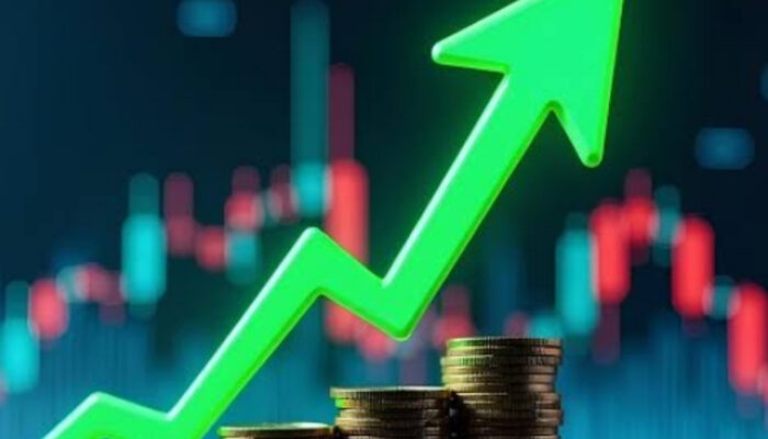 Panduan Praktis Investasi Saham dari Nol untuk Pemula