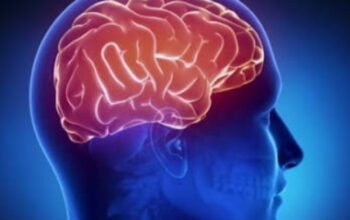 Rahasia Otak Manusia: Bagaimana Miliaran Neuron Menciptakan Kesadaran 3 Rahasia Otak Manusia: Bagaimana Miliaran Neuron Menciptakan Kesadaran