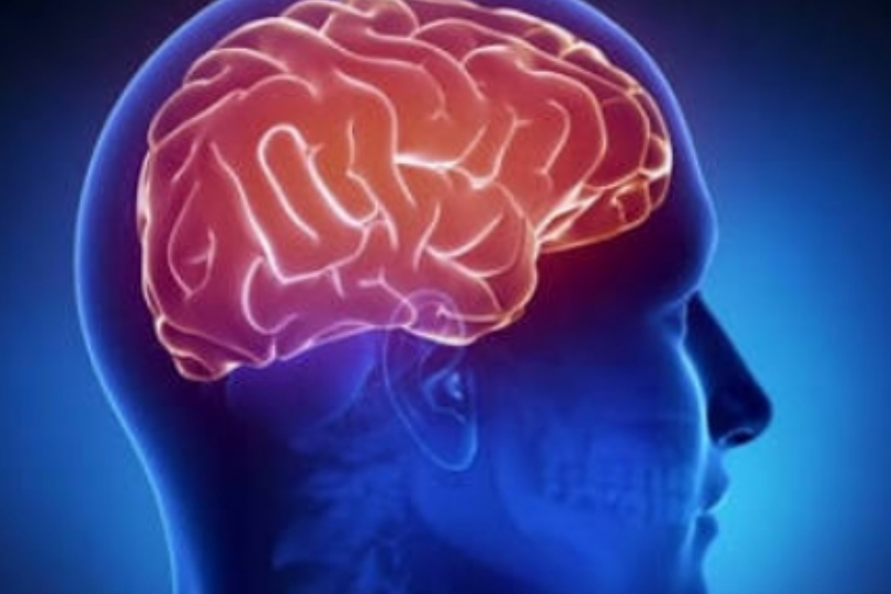 Rahasia Otak Manusia: Bagaimana Miliaran Neuron Menciptakan Kesadaran