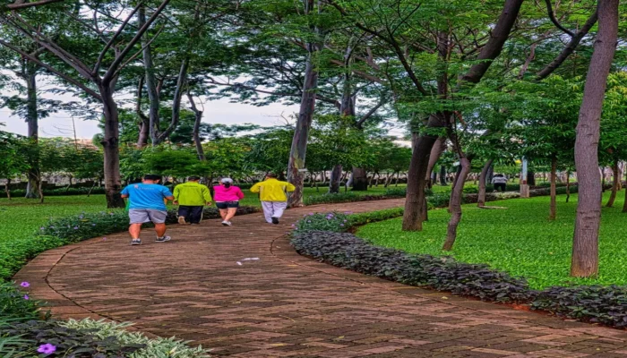Rajin Jalan Santai Pagi? Ini 7 Manfaat Besarnya untuk Kesehatan