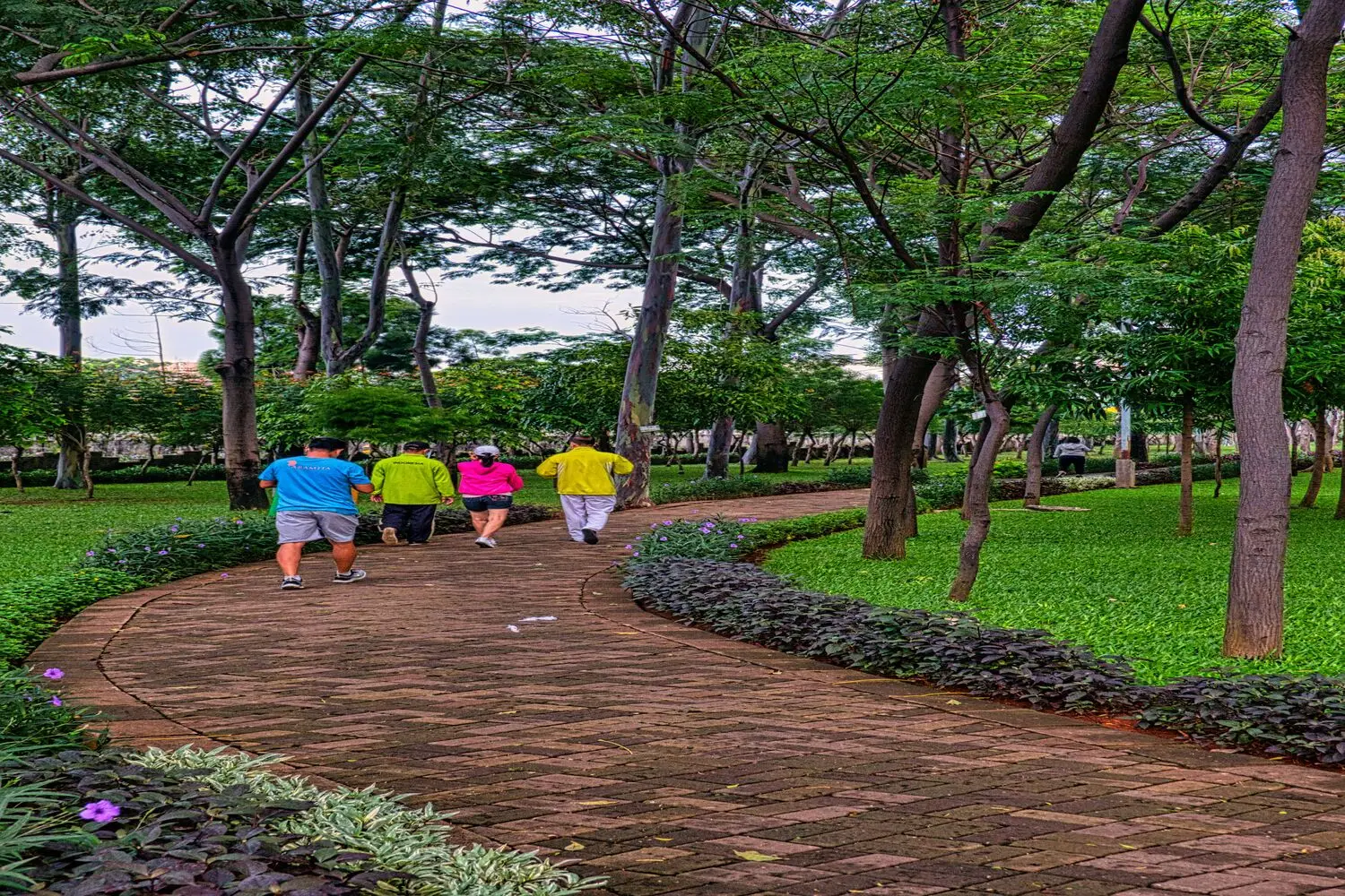 Rajin Jalan Santai Pagi? Ini 7 Manfaat Besarnya untuk Kesehatan