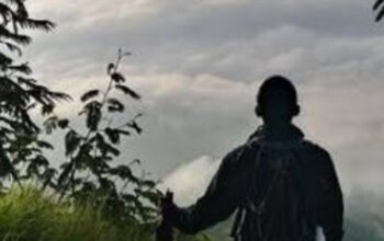 Solo Traveling Aman: Panduan Wajib bagi Pemula