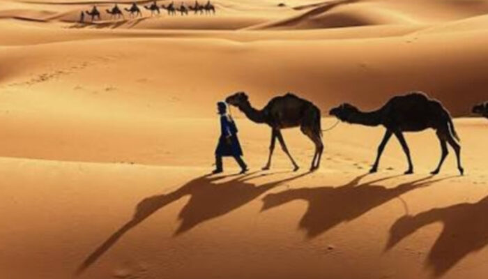 Strategi Bisnis Abdurrahman bin Auf di Era Modern